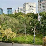 Dorobanti, Beller, Floreasca, Primaverii